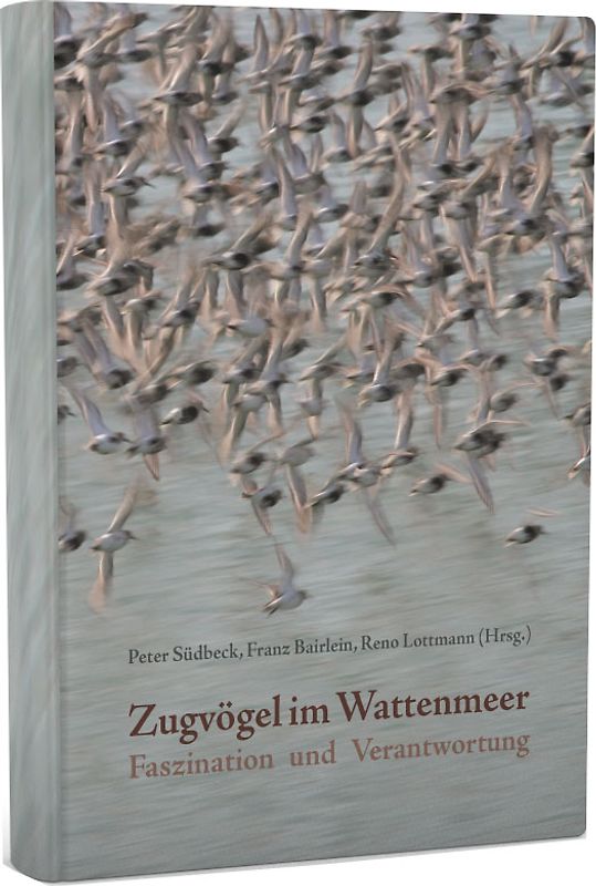 Zugvögel im Wattenmeer