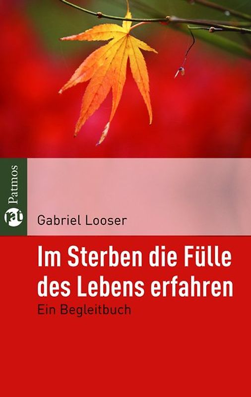 Im Sterben die Fülle des Lebens erfahren. Ein Begleitbuch