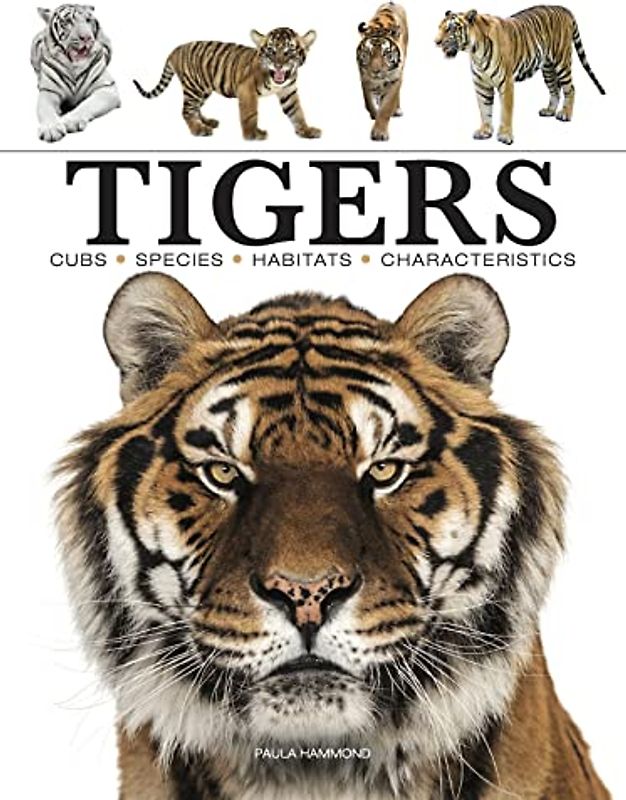 Tigers (Mini Encyclopedia)
