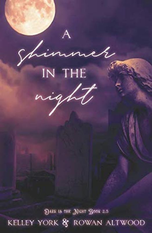 A Shimmer in the Night (Dark is the Night 2.5)