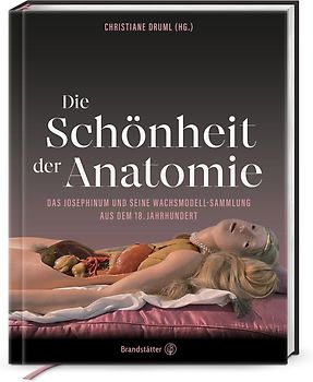 Die Schönheit der Anatomie