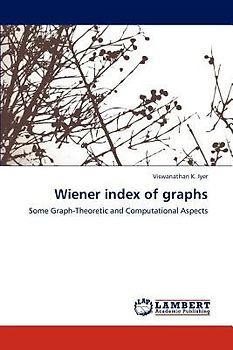 Wiener index of graphs