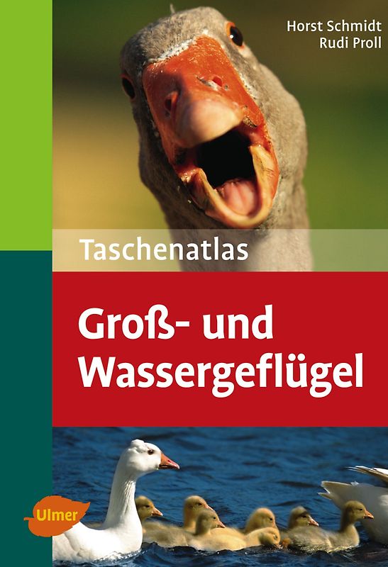 Groß- und Wassergeflügel