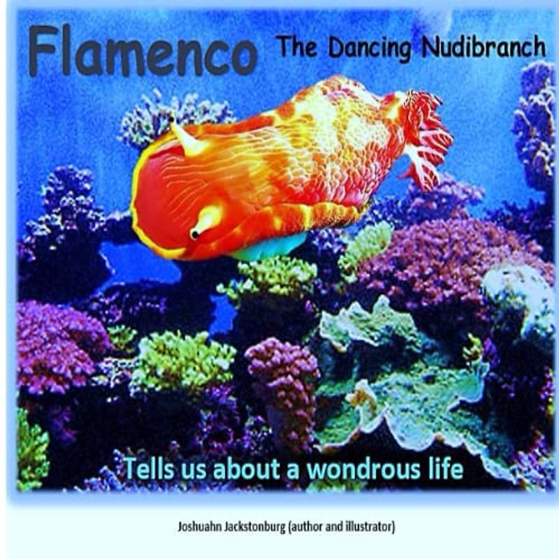 Flamenco The Dancing Nudibranch: Tells us about a wondrous life ('Fascinating Creatures', Band 3)