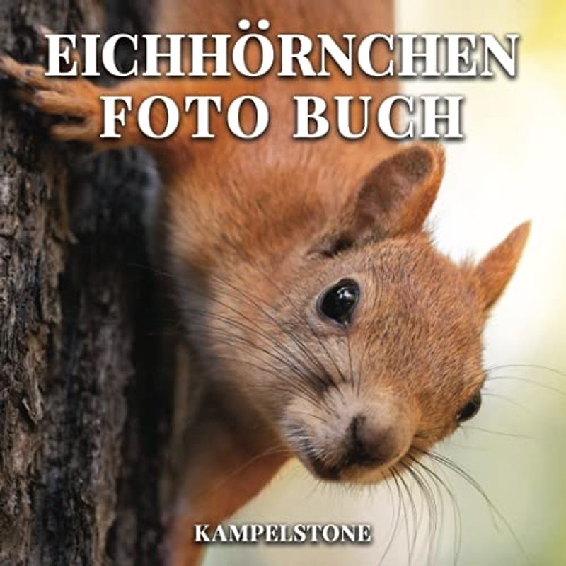 Eichhörnchen Foto Buch: 100 süße Bilder dieser Pelztiere - tolles Geschenk oder Kaffeetischbuch