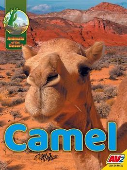 Camel