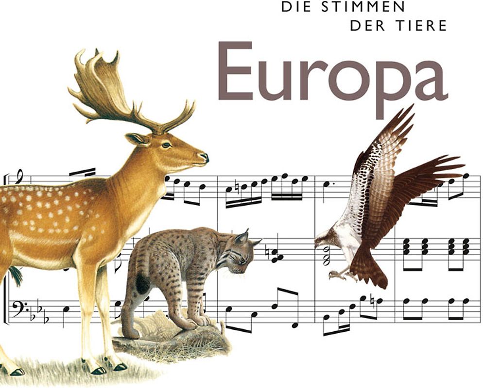 Die Stimmen der Tiere: Europa