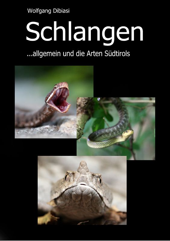 Schlangen