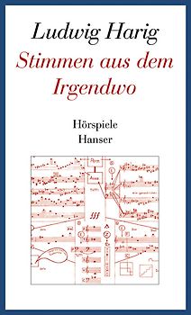 Stimmen aus dem Irgendwo