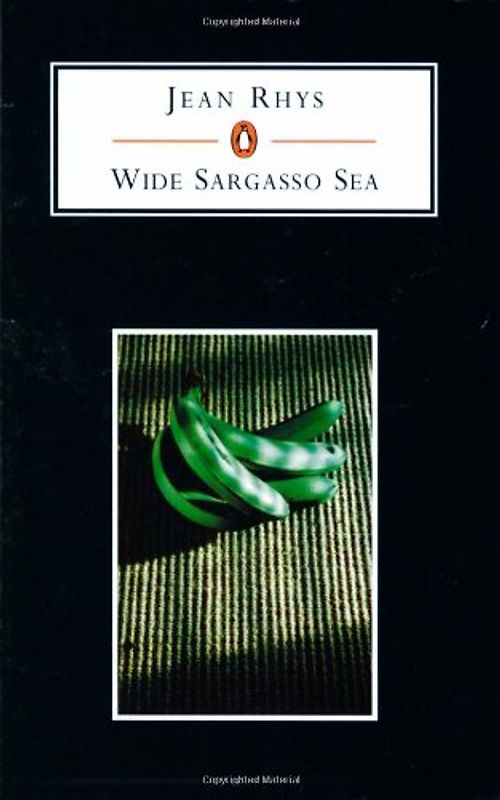 Wide Sargasso Sea (Penguin Student Editions) - Jean Rhys