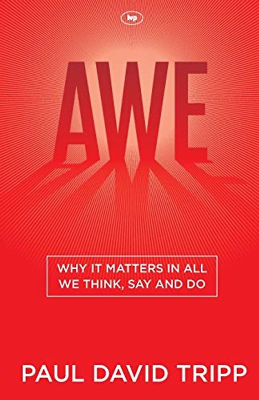 Awe: Why it Matters in All We Think, Say and Do