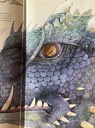 Kundenbild für Expedition in die geheime Welt der Drachen