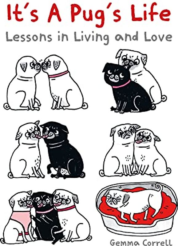 It's a Pug's Life: Lessons in Living and Love