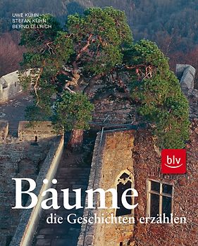 Bäume, die Geschichten erzählen