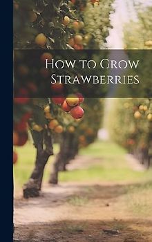 How to Grow Strawberries