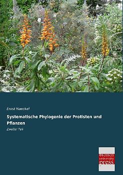 Systematische Phylogenie der Protisten und Pflanzen