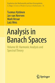 Analysis in Banach Spaces