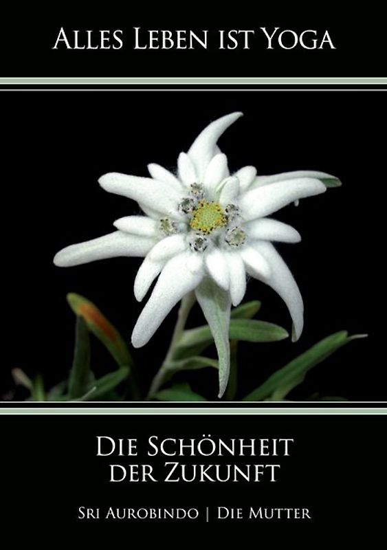 Die Schönheit der Zukunft