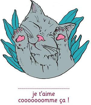 Je t'aime cooooooomme ça ! - illustré par Anne Bory