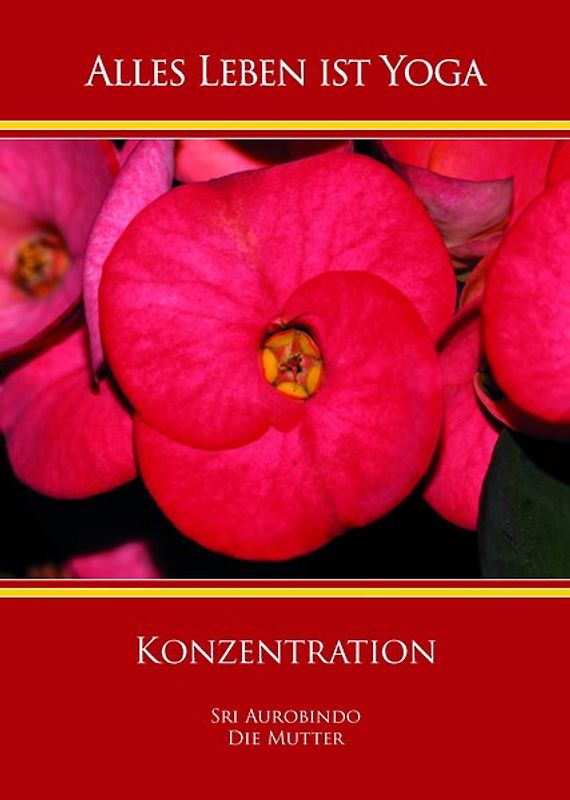 Konzentration