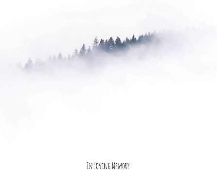 In Loving Memory Funeral Guest Book, Celebration of Life, Wake, Loss, Love, Memorial Service, Condolence Book, Funeral Home, Church, Thoughts and In Memory Guest Book (Hardback)