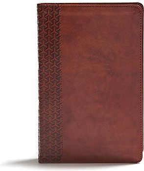 CSB Everyday Study Bible, British Tan Leathertouch