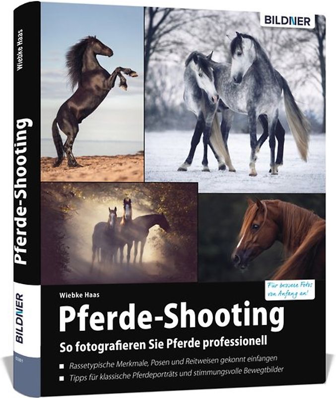 Pferde-Shooting