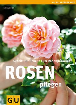Rosen pflegen
