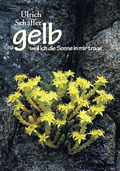 Gelb, weil ich die Sonne in mir trage