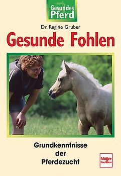 Gesunde Fohlen