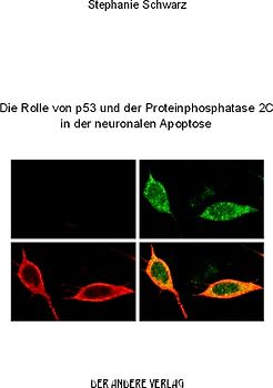 Die Rolle von p53 und der Proteinphosphatase 2C in der neuronalen Apoptose