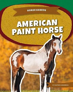 American Paint Horse