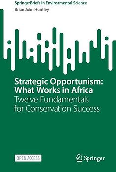 Strategic Opportunism: What Works in Africa