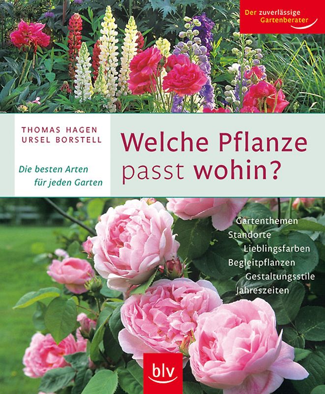 Welche Pflanze passt wohin?