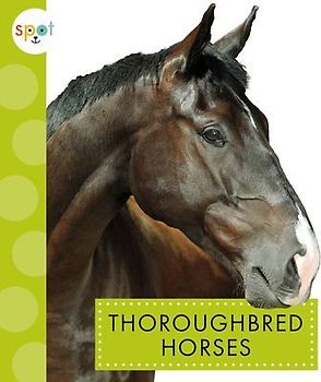 Thoroughbred Horses