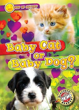 Baby Cat or Baby Dog?