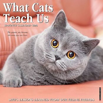 What Cats Teach Us 2026 12 X 12 Wall Calendar