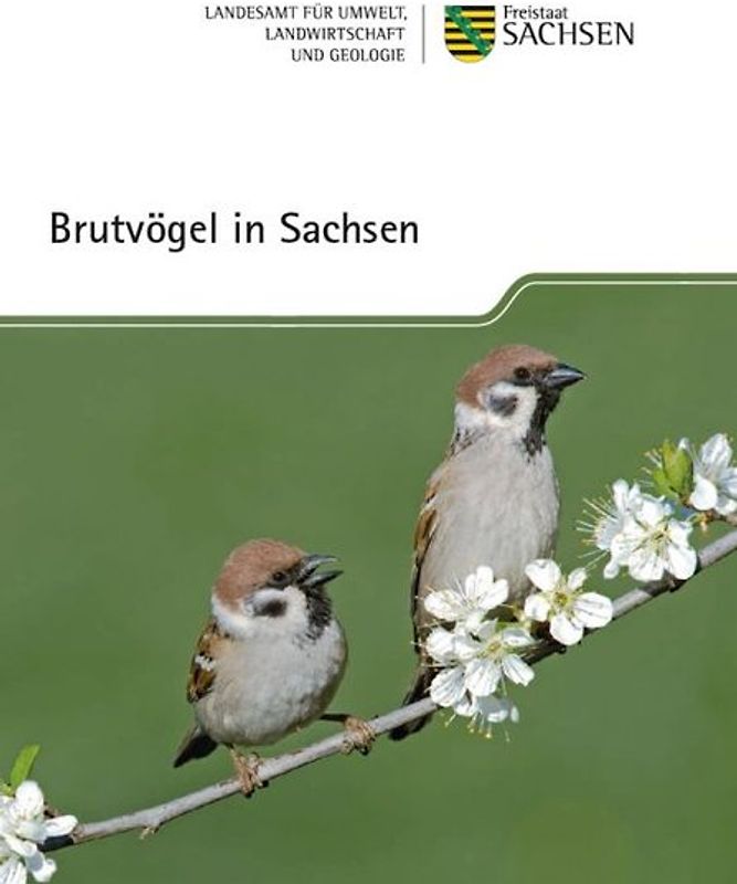Brutvögel in Sachsen