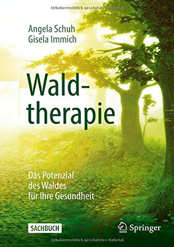 Waldtherapie - das Potential des Waldes für Ihre Gesundheit