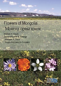 Flowers of Mongolia