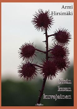 Kuin kuun kuvajainen