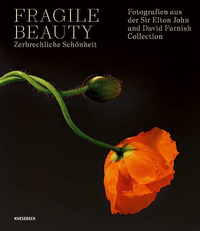Fragile Beauty – zerbrechliche Schönheit