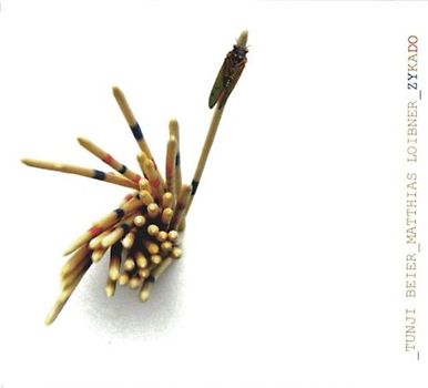 Matthias Loibner - Zykado