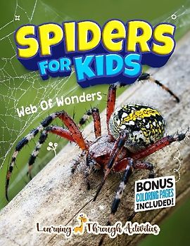 Spiders For Kids
