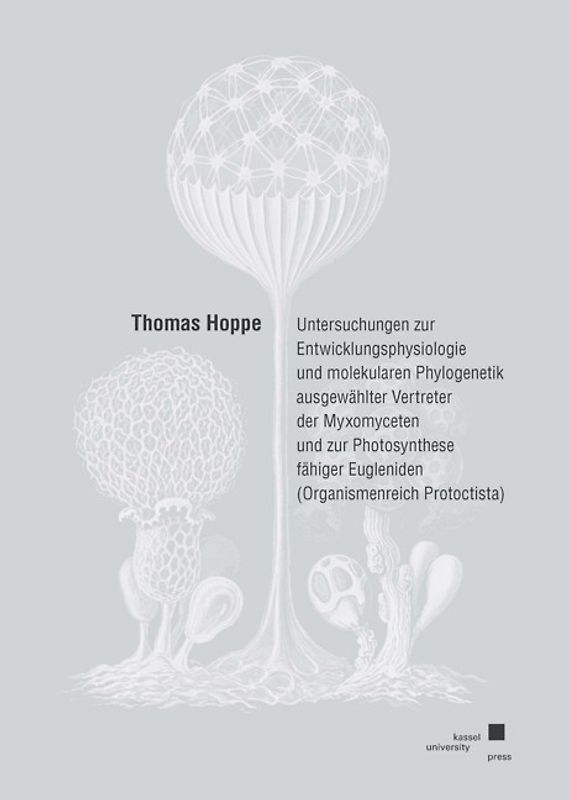 Untersuchungen zur Entwicklungsphysiologie und molekularen Phylogenetik ausgewählter Vertreter der Myxomyceten und zur Phototsynthese fähiger Eugleniden (Organismenreich Protoctista)