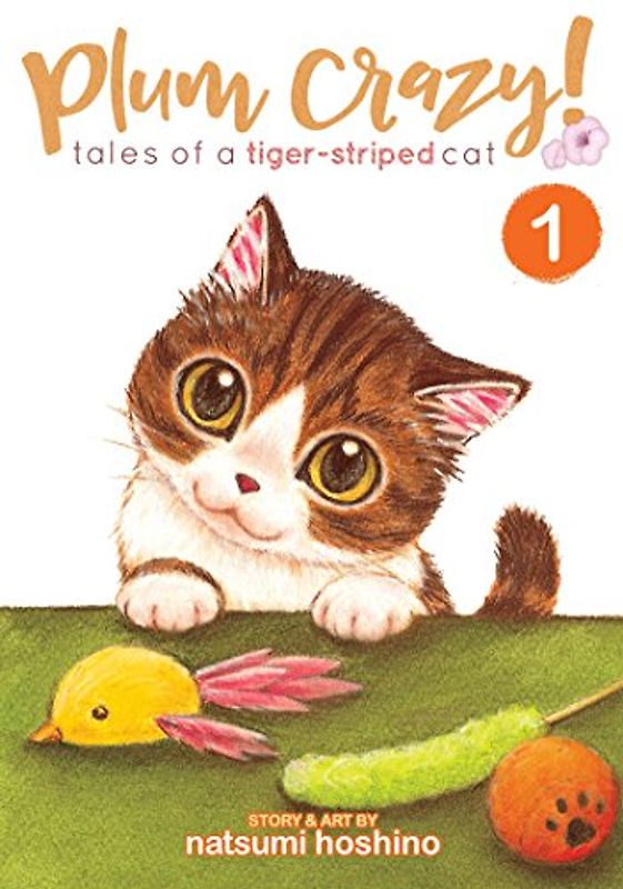 Plum Crazy! Tales of a Tiger-Striped Cat (Plum Crazy! Tales of a Tiger-striped Cat, 1, Band 1)