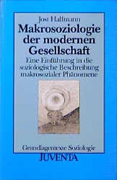 Makrosoziologie der modernen Gesellschaft