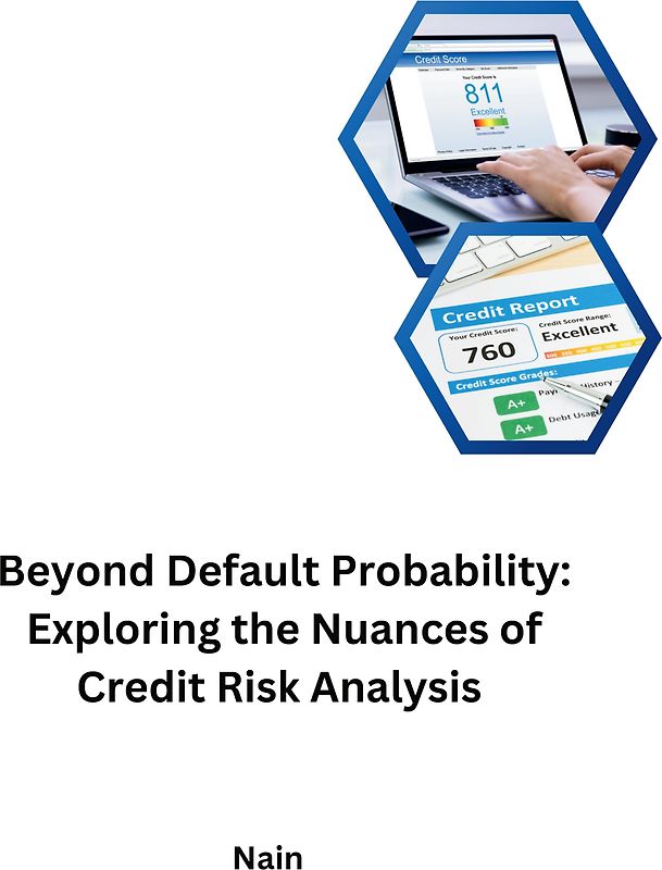 Beyond Default Probability: Exploring the Nuances of Credit Risk Analysis