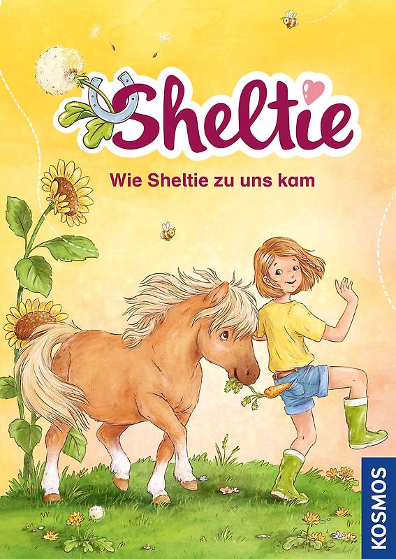 Sheltie - Wie Sheltie zu uns kam