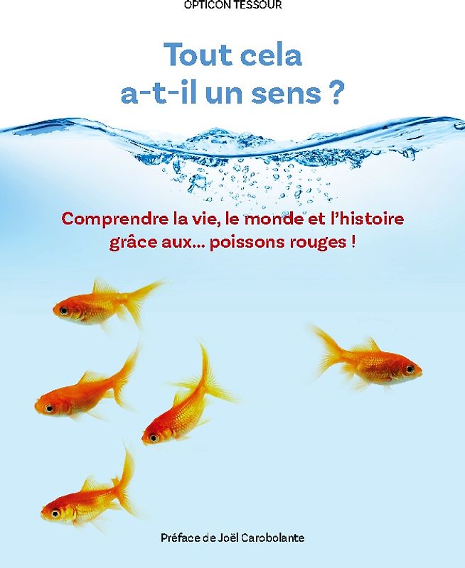 Tout cela a-t-il un sens ?